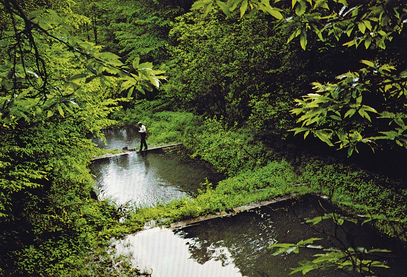 Bild0232.jpg