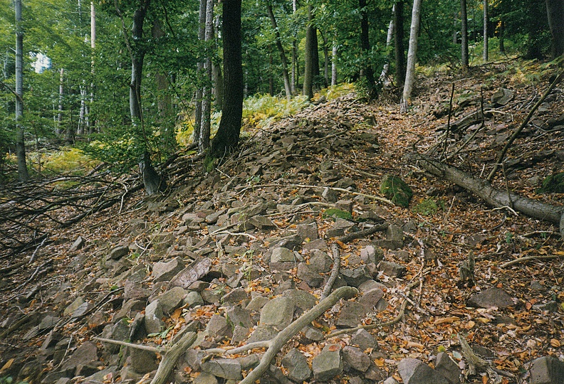 Bild1312.jpg