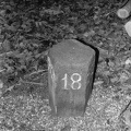 Bild0240