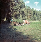 Bild2448