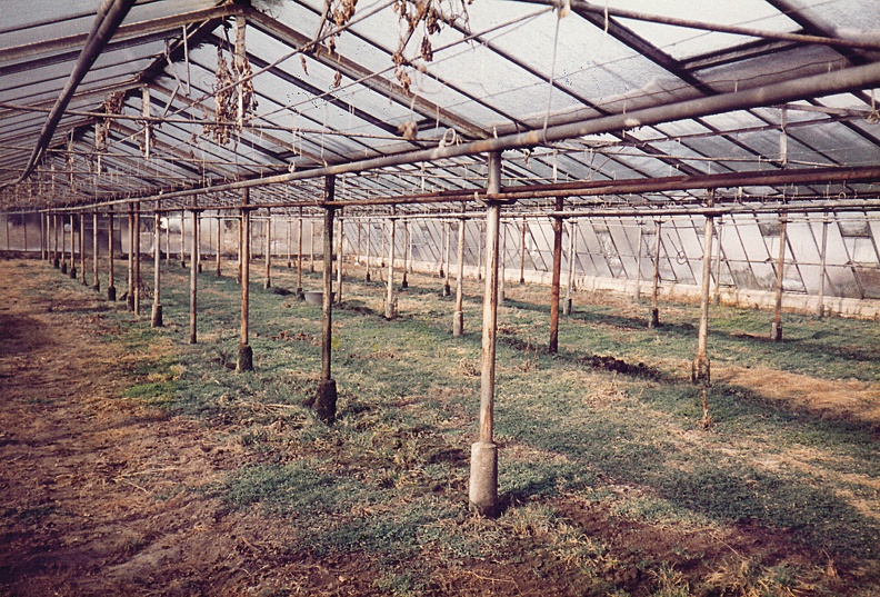 Bild0705.jpg