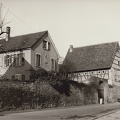 Bild0123