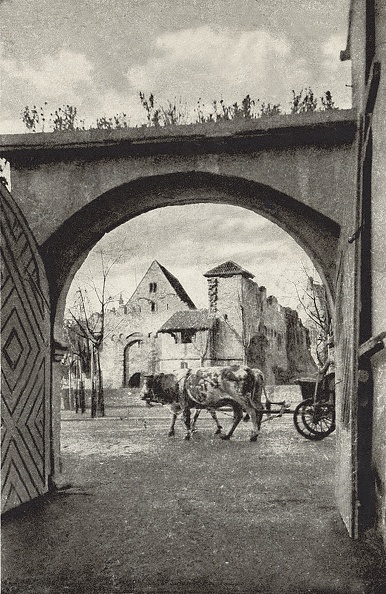 Blick auf die Tiefburg durch die Einfahrt in den Pollich-Hof, Kuhgespann ca. 1910
Ritterstube, rechtes Fenster 4. Bild0136.jpg