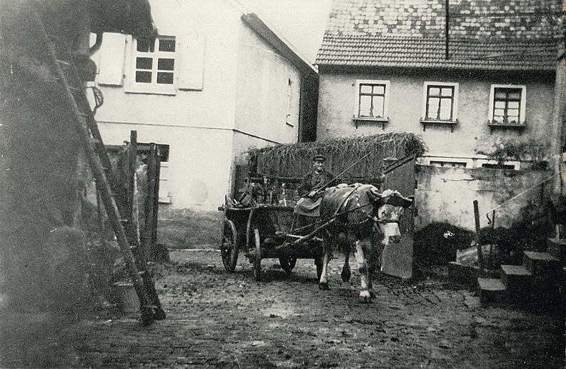 Bild0912.jpg
