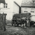 Bild0912