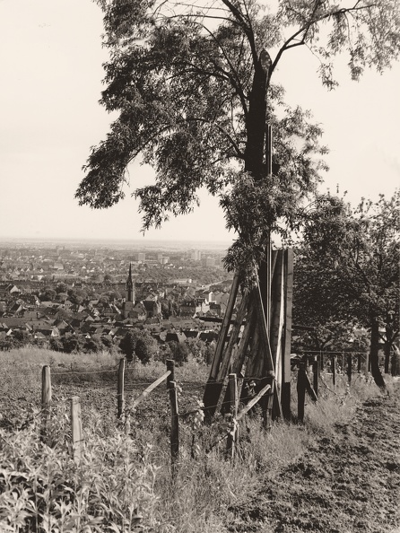 Blick vom Kriegsweg oberhalb des Handschuhsheimer Friedhofes ins Tal. Im Vordergrund neu angelegter Wingert. Aufnahme etwa 1980
Tiefburgarchiv Bild2104.jpg