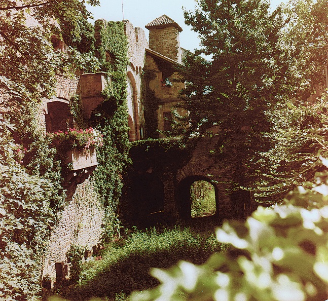 Bild0594.jpg