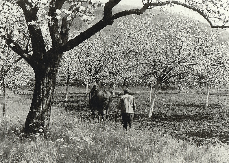 Landwirtschaft in den 20er Jahren. Mühsame Handarbeit, aber keine Hektik oder Stress Album G.Kindt, Archiv Bild1129.jpg
