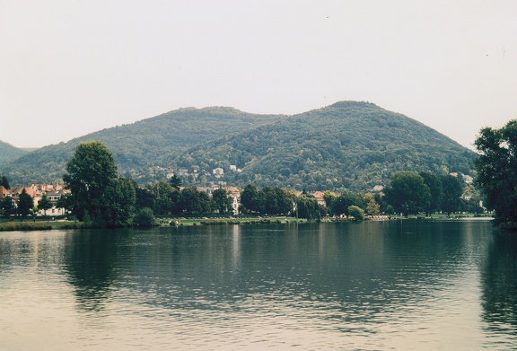 Bild1817