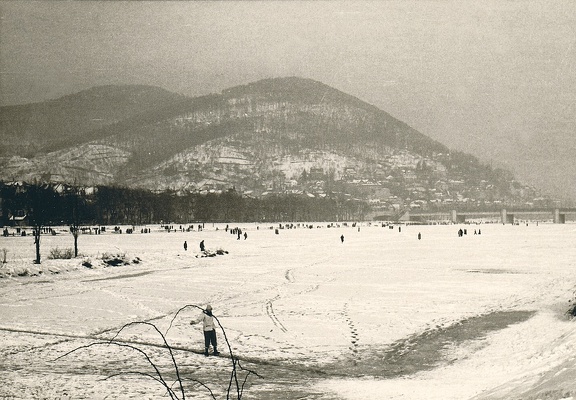 Bild1898