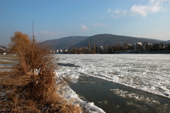 Bild1943