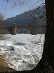 Bild1946