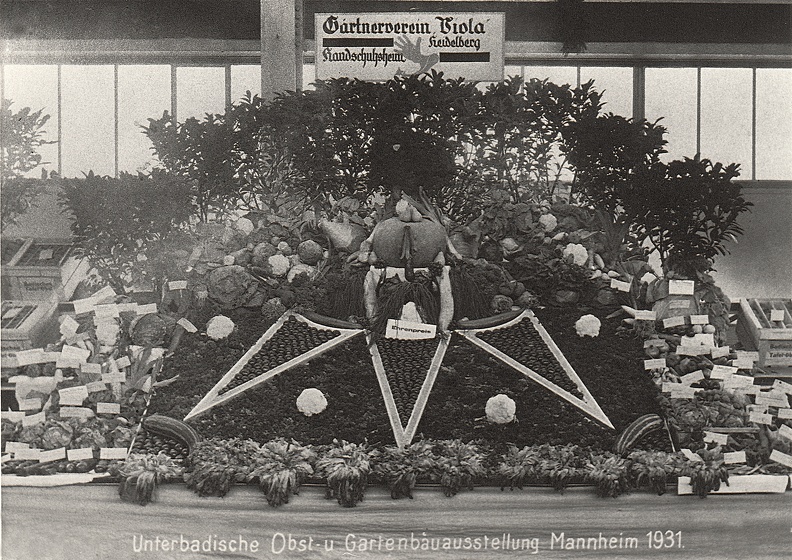 Leistungsschau der Handschuhsheimer Landwirtschaft 1931 Obst-und Gartenbauausstellung Mannheim
Archiv, Ordner9 Bild0986.jpg