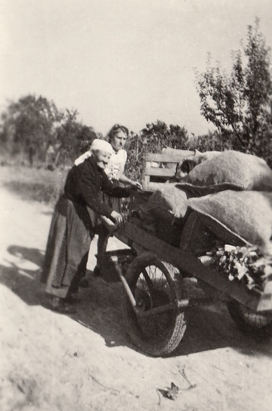 Liesel Neureither etwa 1930 mit dem Marktwagen auf dem Heimweg vom Feld.
Privatbesitz, Gisela Laule Bild1916.jpg