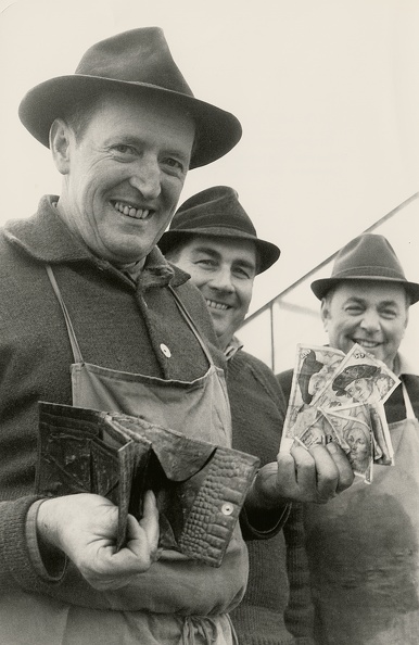 Pressebild zum sinkenden Erwerbseinkommen der Gärtnerbertiebe in Handschuhsheim 1970. Im Bild von links Ernst Bechtel, Walter Genthner, Siegfried Garrecht.Tiefburgarchiv (Ballarin-Bild) Bild2125.jpg