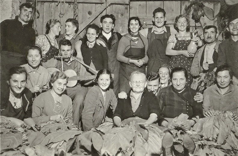 Familie Wernz begeht das Ende der Tabakernte und das Auffädeln der wertvollen Deckblätter mit einem kleinen Fest. 40er Jahre
Privatbesitz Wolfgang Lailach Bild2381.jpg